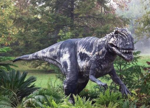 恐龍滅絕那么久 科學家是怎么給它們“稱重”的