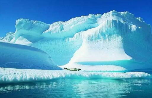 30年升溫10℃ “新北極”正在形成